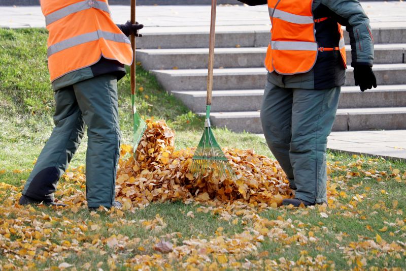 Leaves Cleanup