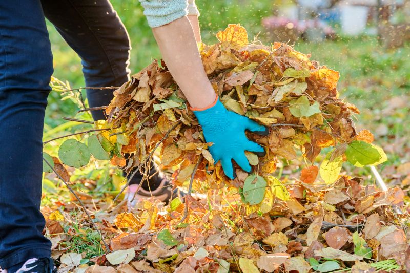 Leaves Cleanup