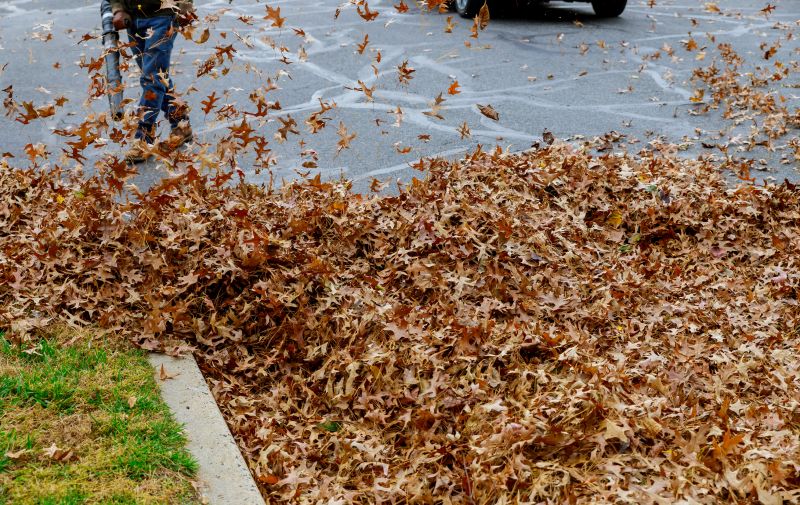 Specialized Leaf Removal Services